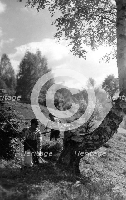 Women working at harvest time, Bistrita Valley, Moldavia, north-east Romania, c1920-c1945. Artist: Adolph Chevalier