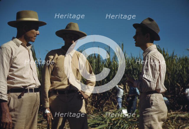 Sugar cane workers, vicinity of Rio Piedras, Puerto Rico, 1941. Creator: Jack Delano.