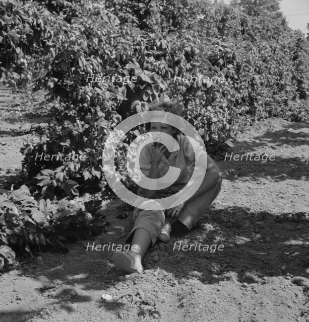 Possibly: Wife of an ex-logger, now a migrat..., Independence (vicinity), Polk County, Oregon, 1939. Creator: Dorothea Lange.