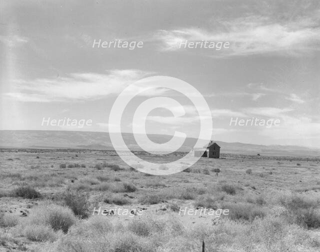 Abandoned dry land farm in the Columbia Basin, South of Quincy, Grant County, Washington, 1939. Creator: Dorothea Lange.