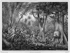 View Taken in the Interior of the Lower Caroline Islands,19th century. Creators: Friedrich Heinrich Kittlitz, Godefroy Engelmann, Louis-Pierre-Alphonse Bichebois.