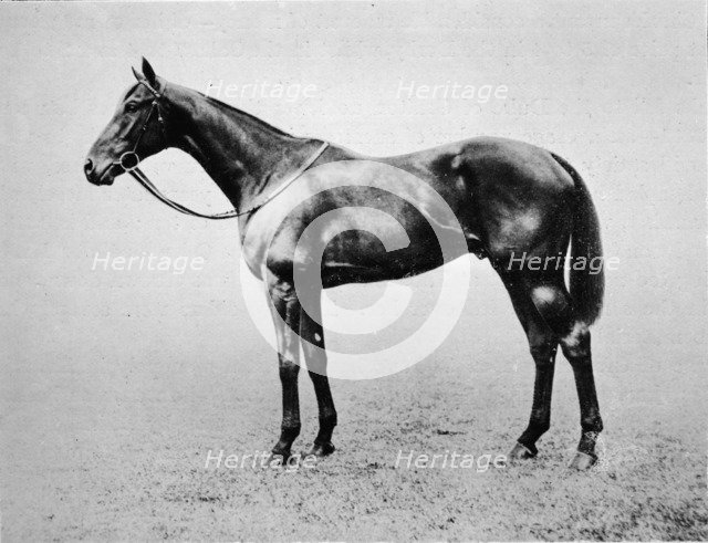 'Swynford', 1907-1928, (1911). Artist: Unknown.