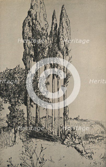 'Cypress Trees Near Siena', 1903. Artist: Charles Holroyd.