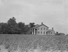 Pharr Plantation house near Social Circle, Georgia, 1937. Creator: Dorothea Lange.