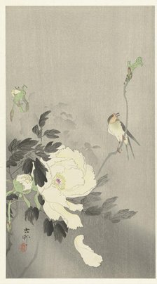 Bird and peony, 1920-1930. Creator: Ohara, Koson (1877-1945).