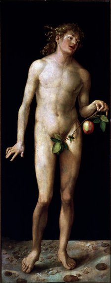  'Adam', oil on canvas by Albrecht Durer.