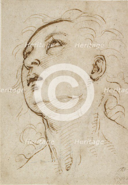 Head of a young Man gazing upwards, c1497-c1504. Artist: Raphael.