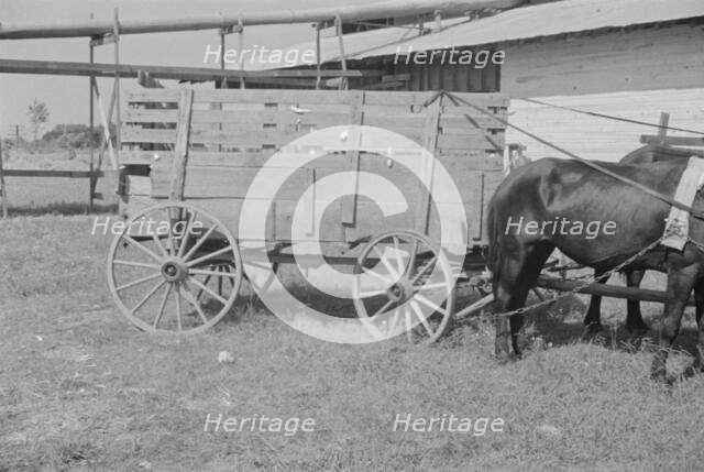 At the cotton gin, Cotton gin and wagons, Hale County, Alabama, 1936. Creator: Walker Evans.