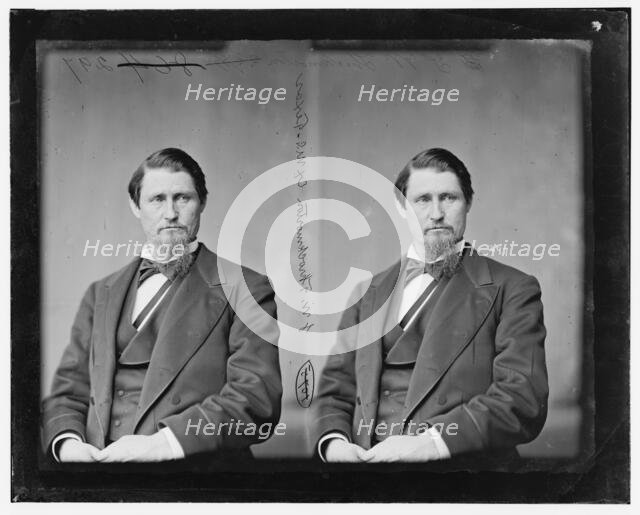 James Webb Throckmorton of Texas, 1865-1880.  Creator: Unknown.