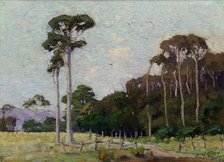 Bartons Bush, Trentham, 1917. Creator: Ernest George Hood.