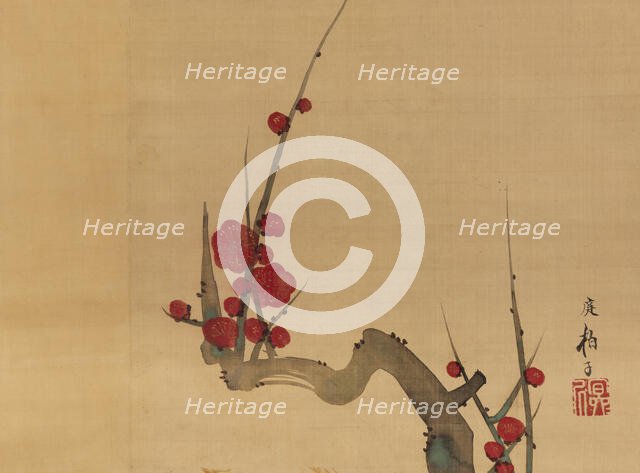 Plum blossom, c.1801. Creator: Sakai Hoitsu.