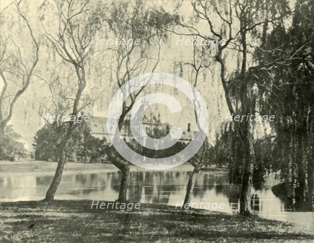 'The Museum. Melbourne University', 1901. Creator: Unknown.