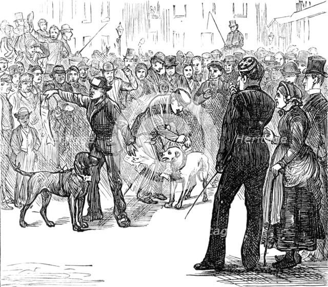 Metropolitan Boroughs election sketches: "Whig" and "Tory", 1874. Creator: Unknown.