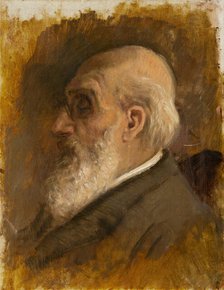 Painter's Father Profile with Pince-nez, 1890-1895. Creator: Ladislav Mednyanszky.