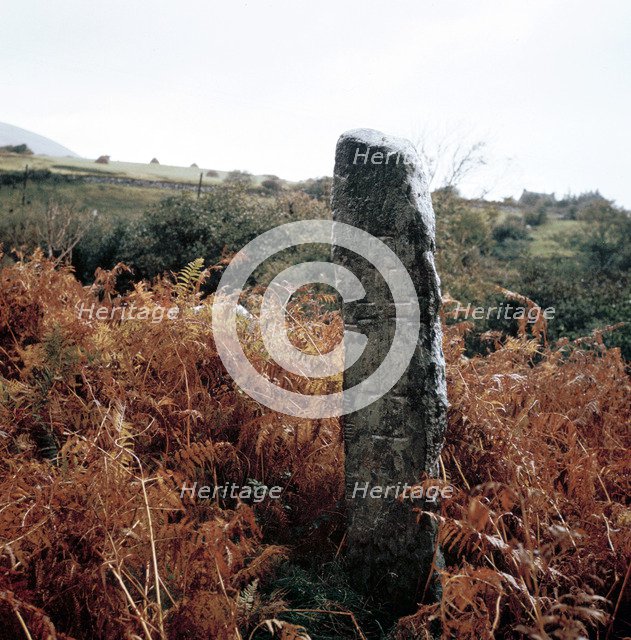 Cross-inscribed ogham stone, Dromkeare, Co.Kerry, Ireland. Artist: Unknown