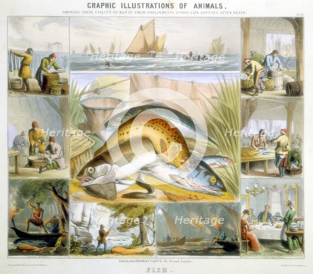 Fish, c1850. Artist: Robert Kent Thomas 