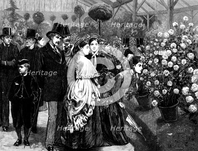 A rose show at the Horticultural Society's Gardens, South Kensington, 1873. Creator: Unknown.