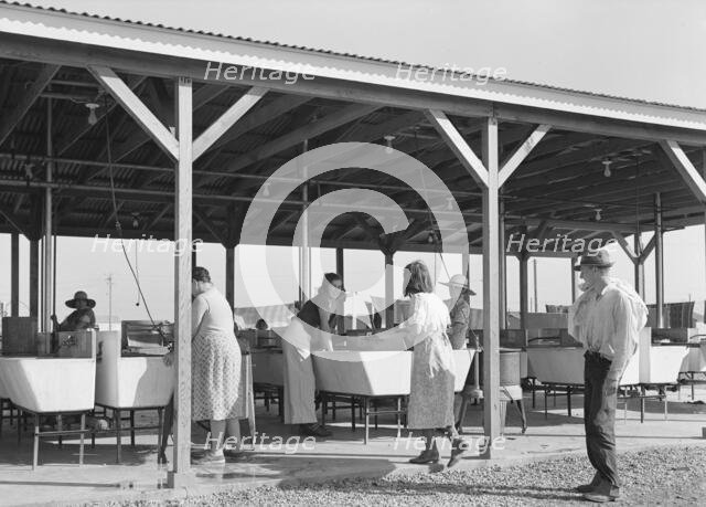 Laundry facilities for migratory workers in FSA camp at Westley, California, 1939. Creator: Dorothea Lange.