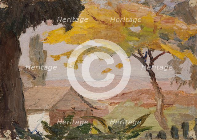 Bursa (A View), 1910. Creator: Jan Ciaglinski.