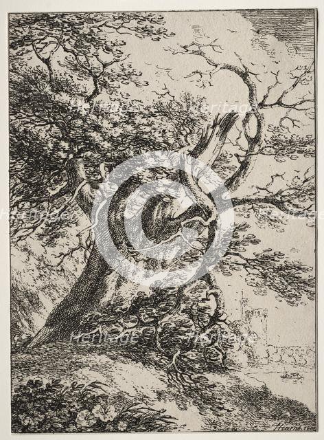 Specimens of Polyautography: Landscape with an Oak Tree, 1803. Creator: Thomas Hearne (British, 1744-1817).