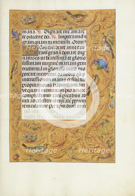 Decorated Text Page; Spinola Hours, about 1510-1520. Creator: Unknown.