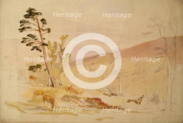 In the Lui More, 1844. Creator: James William Giles.