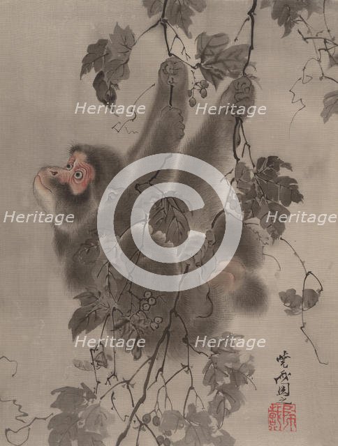 Monkey Hanging from Grapevines, ca. 1887. Creator: Kawanabe Kyosai.