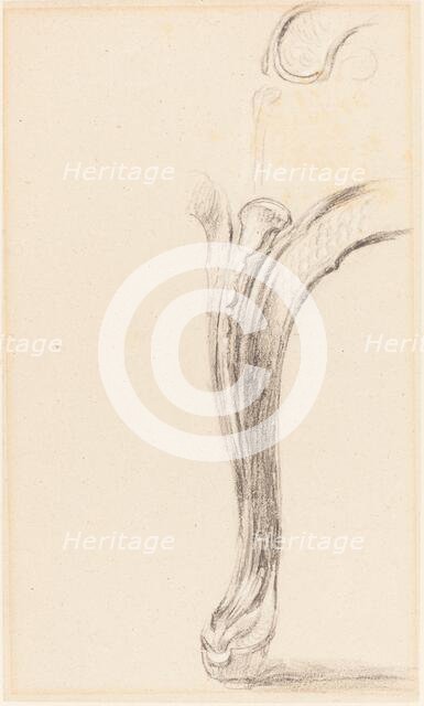 Study of a Chair Leg. Creator: David Wilkie.