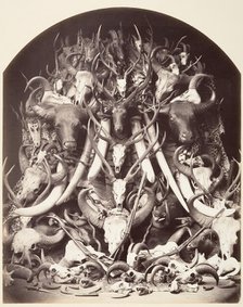 Hunting Trophies, ca. 1870. Creator: Unknown.