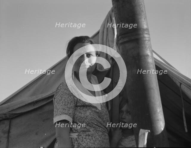 Unemployed family..., near Holtville, California, 1937. Creator: Dorothea Lange.