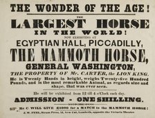 The Wonder of the Age! The Largest Horse in the World, Egyptian Hall, Piccadilly, 1846.  Creator: Unknown.