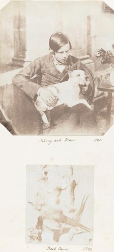 Johnny and Drum; Dead Game, 1853-56. Creator: John Dillwyn Llewelyn.