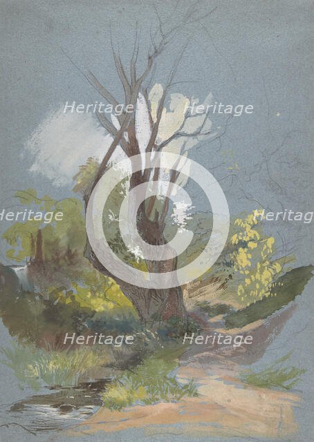 Mountain Path with a Tree, 1820-78. Creator: Friedrich Nerly.