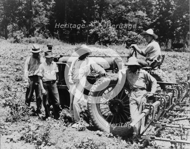 Hillhouse, Mississippi Delta cooperative farm, 1937. Creator: Dorothea Lange.