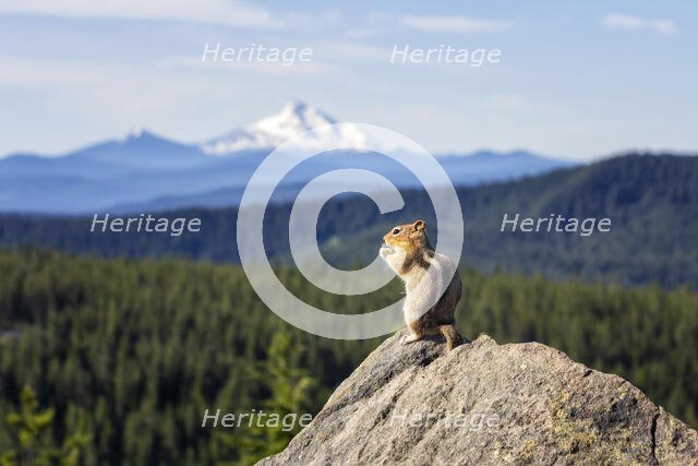 Lunch with a View. Creator: Joshua Johnston.