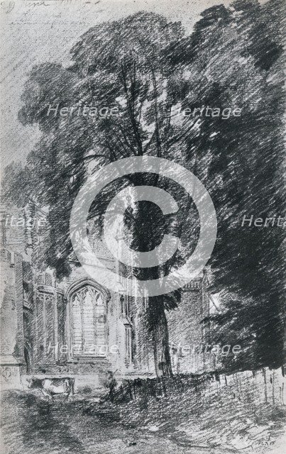 East Bergholt Church: part of the west end seen beyond a group of elms, (1812), 1925. Artist: Unknown