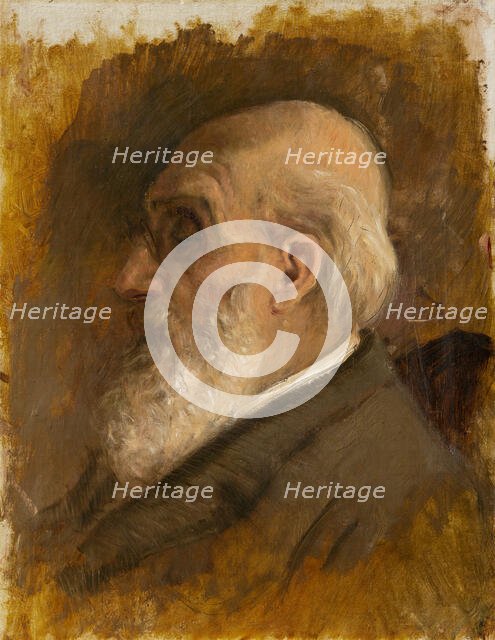 Painter's Father Profile with Pince-nez, 1890-1895. Creator: Ladislav Mednyanszky.
