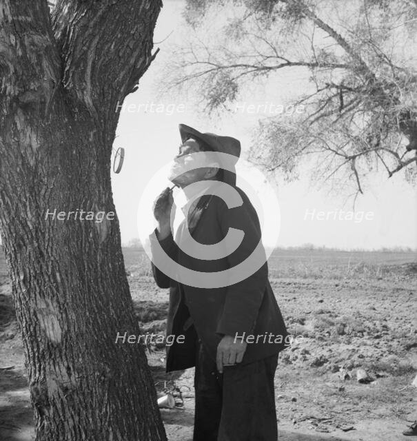 On U.S. 99 between Bakersfield and the Ridge, en route to San Diego, 1939. Creator: Dorothea Lange.