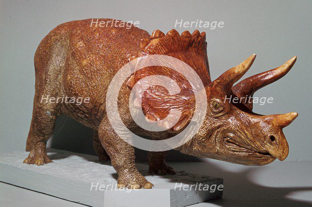Triceratops model. Artist: Unknown