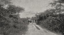Morro road, Santiago de Cuba, Cuba, 1898. Creator: Unknown.