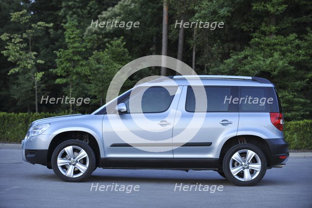 Skoda Yeti 2009. Artist: Simon Clay.