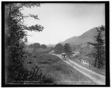 The Drive, Poagshole, Dansville, N.Y., c1900. Creator: Unknown.