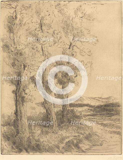 Woman Reading: Lesson under the Trees (La liseuse: La lecture sous les arbres). Creator: Alphonse Legros.