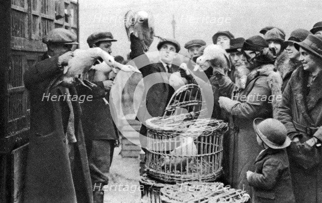 Poultry merchants, Caledonian Market, London, 1926-1927. Artist: Unknown