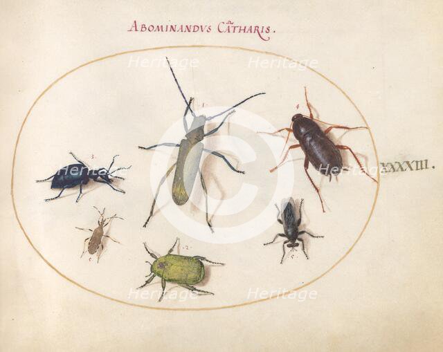 Plate 43: Beetles and Insects, c. 1575/1580. Creator: Joris Hoefnagel.