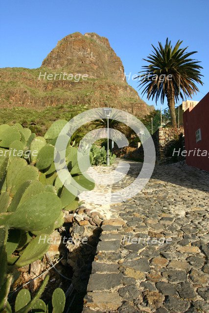 Cactus and street in Masca, Tenerife, Canary Islands, 2007.