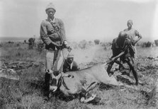 Antelope killed in Africa, between c1915 and c1920. Creator: Bain News Service.