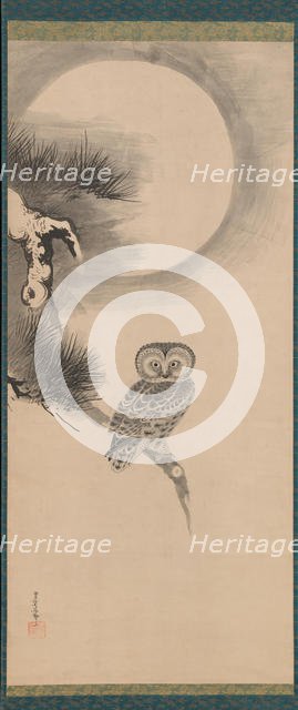 Owl on a Pine Branch, early 17th century. Creator: Soga Nichokuan.