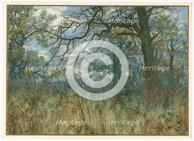 Trees and Undergrowth, 1885. Creator: Garden William Fraser (British, 1856-1921).