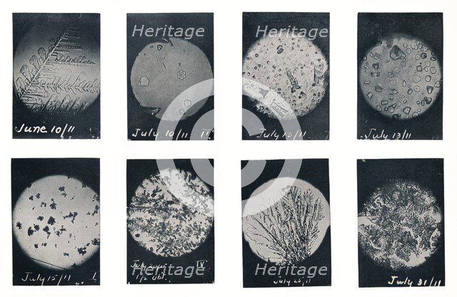 'Ice Crystals in Crevasse', June-July 1911, (1913). Artist: Charles S Wright.